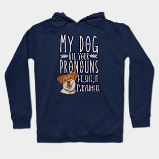 Funny meme My Dog Ate Your Pronouns He She It Everywhere Hoodie